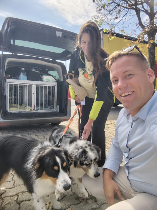 Cseh speciális mentőkutyás csapat támogatása