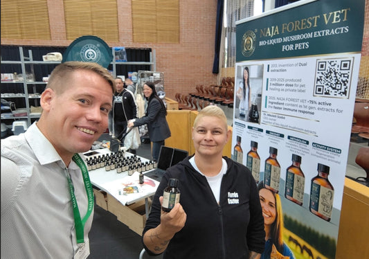 Ahol a remény nyomába erednek – Forrás Eszter és a keresőkutyás hősök